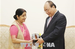 Thủ tướng: Việt Nam coi trọng quan hệ Đối tác chiến lược toàn diện với Ấn Độ 