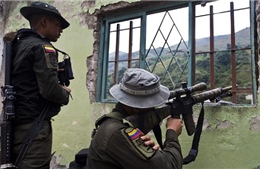 Xung đột vũ trang tại Colombia khiến 262.000 người thiệt mạng