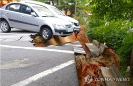  &#39;Hố tử thần&#39; xuất hiện tại thủ đô Seoul, 200 cư dân hốt hoảng sơ tán