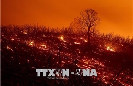 Cháy rừng lan rộng, trở thành vụ cháy lớn nhất lịch sử bang California, Mỹ