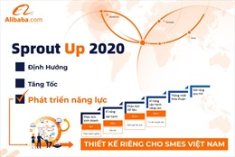 Alibaba.com triển khai dự án đưa các doanh nghiệp Việt xuất khẩu ra thế giới
