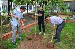 OMO khởi động Dự án trồng cây tạo màn chắn xanh cho Việt Nam