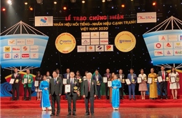 Dai-ichi Life Việt Nam đạt danh hiệu “Top 20 Nhãn hiệu nổi tiếng Việt Nam 2020”