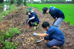 3M cùng WWF - Việt Nam trồng 8.000 cây xanh