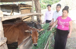 Chuyển động vùng cao biên giới Sơn La