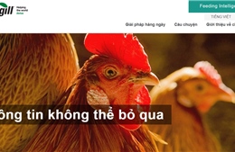 Cargill ra mắt trang web về sức khỏe và dinh dưỡng vật nuôi để hỗ trợ nông dân Việt Nam
