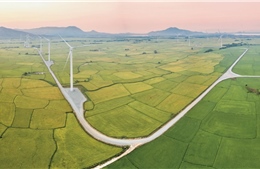 Cơ hội lớn của Việt Nam trong lĩnh vực năng lượng gió
