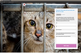 FOUR PAWS phát động chiến dịch nhằm chấm dứt nạn buôn bán thịt chó và mèo