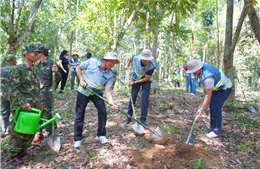 Coteccons khởi động chiến dịch trồng cây “Green Up”