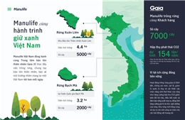 Manulife Việt Nam cùng khách hàng trồng rừng, hướng tới tương lai bền vững 