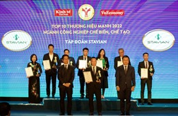 Tập đoàn Stavian nhận Giải thưởng TOP 10 Thương hiệu mạnh 