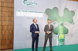 Carlsberg - Hành trình 175 năm theo đuổi sự hoàn hảo