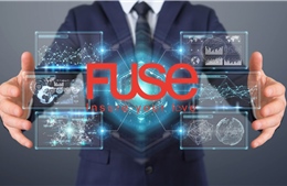 Fuse, startup công nghệ bảo hiểm phát hành hơn 5 triệu hợp đồng tại thị trường Việt Nam