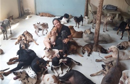 Ấm lòng trạm cứu hộ thú cưng bị bỏ rơi Saigon Time tại TP Hồ Chí Minh
