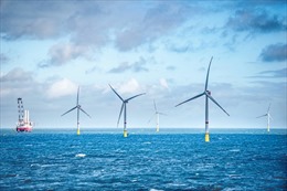 CIP đã bảo đảm được 500 MW công suất dự án điện gió ngoài khơi 