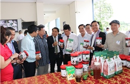 Câu lạc bộ Tâm Trí Việt kết nối doanh nghiệp tại Bình Dương