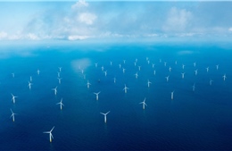 Tập đoàn Đan Mạch kỳ vọng quản lý khoản đầu tư vào năng lượng xanh lớn nhất thế giới 