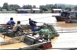 Cảnh báo lũ khẩn cấp trên các sông ở  khu vực tỉnh Đồng Nai 