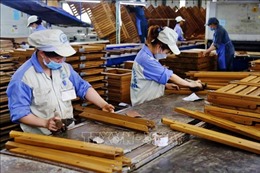 Doanh nghiệp đồ gỗ xuất khẩu tìm cơ hội khai thác thị trường nội địa