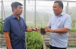 Khu nông nghiệp ứng dụng công nghệ cao Phú Yên nghiên cứu thành công nhiều giống cây 