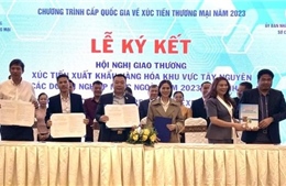 Gia Lai: Ký kết 12 biên bản ghi nhớ hợp tác với doanh nghiệp Lào, Campuchia