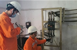 Điện lực TP Hồ Chí Minh: Sản lượng điện cung cấp cho khách hàng tiếp tục tăng 