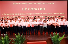 Hoàn thiện mô hình tổ chức cơ sở đảng Cơ quan Tổng công ty Điện lực TP Hồ Chí Minh