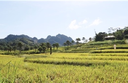 Phát triển kinh tế - xã hội ở huyện miền núi Đồng Hỷ - Thái Nguyên