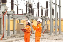 Điện lực Bắc Ninh tổ chức nhiều hoạt động nhân Tháng tri ân khách hàng 