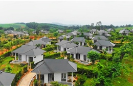 Cùng Sao Mai Group đặt tên thương mại cho dự án &#39;Resort 5 sao tại xứ Thanh&#39;