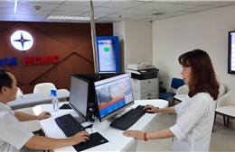 Điện lực TP Hồ Chí Minh: Cung cấp 100% các loại hình dịch vụ trực tuyến cấp độ 4