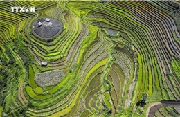 Hòa Bình: Tiềm năng du lịch lớn từ vẻ đẹp ruộng bậc thang Miền Đồi