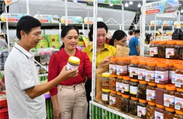 Đưa 2 chuyến &#39;Hàng Việt về nông thôn&#39; tại Vĩnh Long 