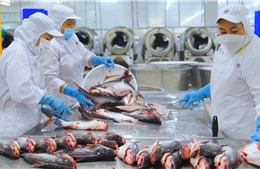 Từ &#39;phế phẩm&#39; thành nguồn thu ngoại tệ