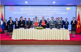 Sao Mai Group: Lan tỏa "năng lượng xanh" xuyên biên giới