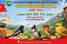 Khi ‘thanh âm tự nhiên’ trở thành sản phẩm du lịch hút khách