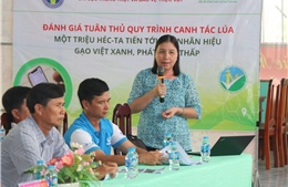 Cần Thơ thúc đẩy sản xuất lúa gạo chất lượng cao, phát thải thấp