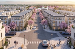 Sao Mai Central Point và lợi thế của quỹ đất trung tâm