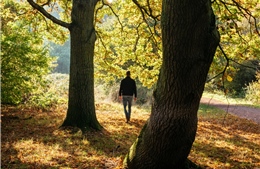 Nepal dẫn đầu, Anh tụt hạng trong bảng xếp hạng gắn kết với thiên nhiên