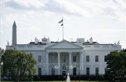 Làn sóng nghỉ việc lớn tại Bộ Nông nghiệp Mỹ dưới thời ông Trump