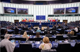 EU lên kế hoạch áp thuế trả đũa hàng loạt mặt hàng Mỹ