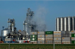 Công nghệ thu giữ carbon của EU đối mặt với ba trở ngại lớn