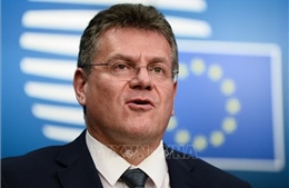 EU - Mỹ tăng tốc đàm phán thương mại sau khi Tổng thống Trump tạm hoãn áp thuế