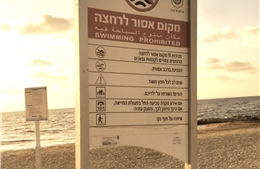 Israel liên tiếp đóng cửa bãi biển do phát hiện cá mập