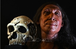 Khảo cổ học hé lộ đa dạng kỹ năng sinh tồn của người Neanderthal