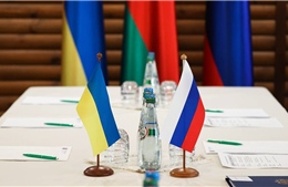 Chuyên gia Đức: Ukraine không nên đưa ra yêu cầu tối đa trong giải quyết xung đột