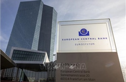 ECB giữ nguyên lãi suất cơ bản khi kinh tế Eurozone duy trì ổn định