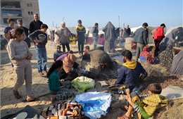 EU cân nhắc đình chỉ thoả thuận liên kết với Israel do khủng hoảng Gaza