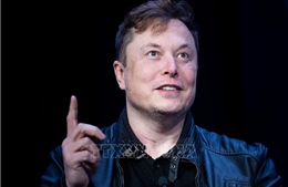 Tỷ phú Elon Musk bị chỉ trích phá hủy thương hiệu Tesla vì dấn thân chính trị
