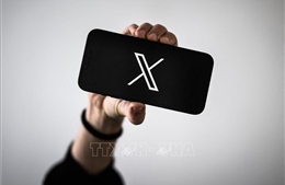 Pháp xem xét buộc nền tảng mạng xã hội X xác minh độ tuổi người dùng